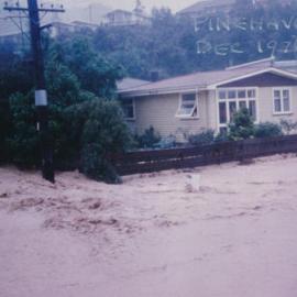 Flood, 1976; Silverstream; Brigade series; Pinehaven 