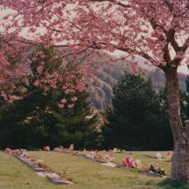 Akatarawa Cemetery