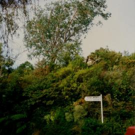 Redvers subdivision, eastern end of Chatsworth Road; street sign for Kenilworth Grove