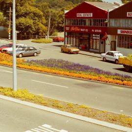 Gardens, Fergusson Drive; car park, corner of Martin Street