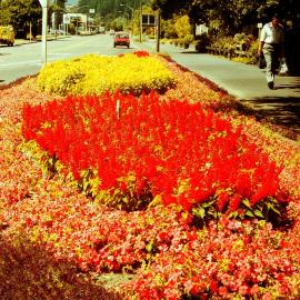 Gardens, Fergusson Drive; south side, looking east from Blenheim Street