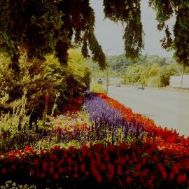 Gardens, Fergusson Drive; north side, looking east from Blenheim Street (?)