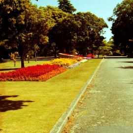 Gardens, Park Street; Maidstone Park east-west drive, south side, looking west 2