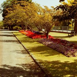 Gardens, Park Street; Maidstone Park east-west drive, north side, looking west.