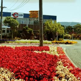 Gardens; Park Street, east of Railway Avenue, looking west.
