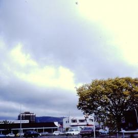 Prominent tree; unidentified, Russell Street car park