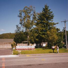 Prominent tree; unidentified