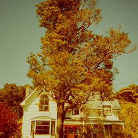 Prominent Tree; 16 Chatsworth Road