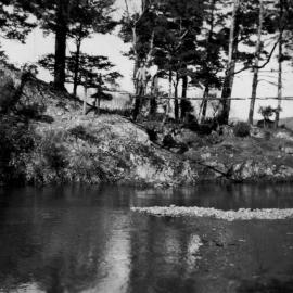 Flora Hoskins (née Danahay) Photograph Album p18 (3)