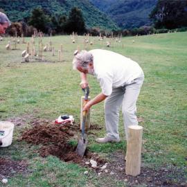 David Bellamy planting at Kaitoke Regional Park, 2000