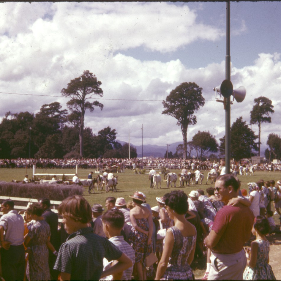 Wellington and Hutt Valley Agricultural and Pastoral Association Inc.