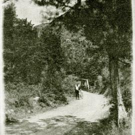 Three-bay truss bridge and cyclist