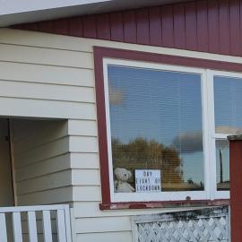 Teddy bear in window during Covid-19 level 4 lockdown