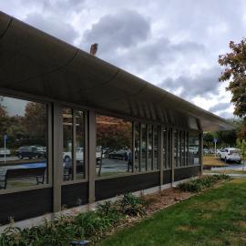 Kārearea, Upper Hutt City Library