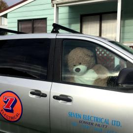 Teddy Bear in car, Heretaunga