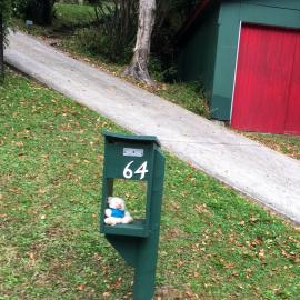 Teddy Bear in mailbox, Pinehaven