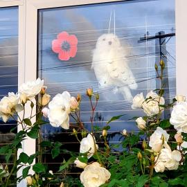 Poppy and stuffed Hedwig toy owl window display, Trentham