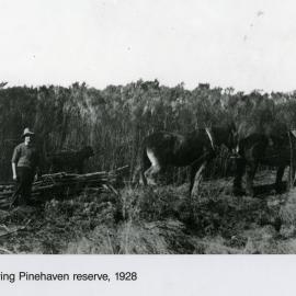 Pinehaven reserve being cleared; Jim Deller and team, 2.