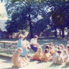 46th Pencarrow Brownie Pack (Upper Hutt)