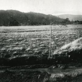 Flat pasture facing western Hutt hills; Heretaunga golf course site?