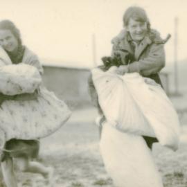 Girl Guide Dominion Camp; Trentham, Upper Hutt; 1930