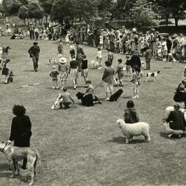 Children's pets, possibly at an A & P show, at Maidstone Park.