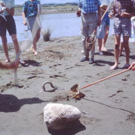 Upper Hutt College; 3A Field Trip to Ōhau Beach; 1962