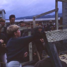 Upper Hutt School Gala; 1967