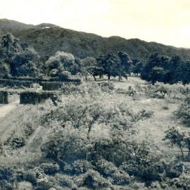 Wilscot Gardens Upper Hutt; ca 1950