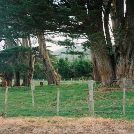 Whitemans Valley Church