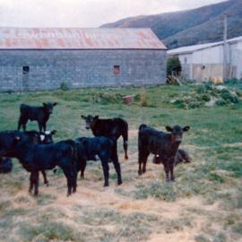 Swanson Brother's Feed and Hay Shed