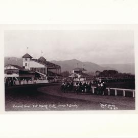 General View Wellington Racing Clubs course and stands