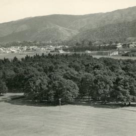 Wallaceville Animal Research Centre; Bush; 1936