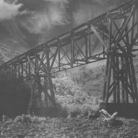 Bush tramway bridge, crossing Te Awa Kairangi / Hutt River at Te Marua