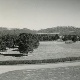 Wallaceville Animal Research Centre; Cricket Pitch in the Front Paddock; No date