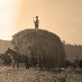 Tōtara Park; ca. 1912