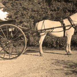 Woman and Child in Horse and Cart; ca 1912