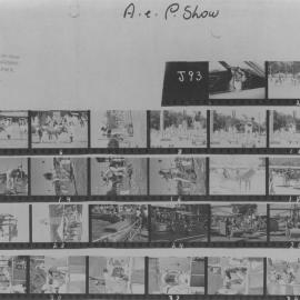 A & P show; sheet of 35 mm negatives contact printed.