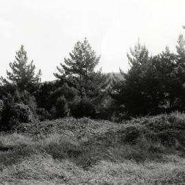 Former Grounds of Bonnie Glen (McCurdy's Castle); ca 1983