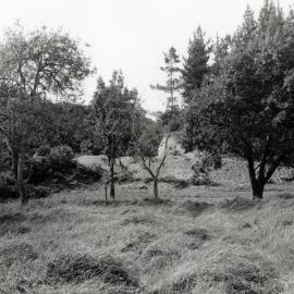 Former Grounds of Bonnie Glen (McCurdy's Castle); ca 1983