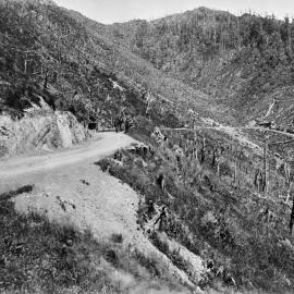 Rimutaka Hill Road;  ca 1870
