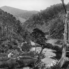 Tōtara Flat; Rimutaka Incline; Ca 1880s