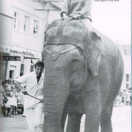 Elephant Race in Upper Hutt