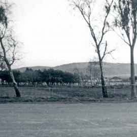 Gibbons Street; 1964