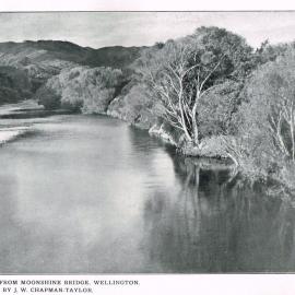 Hutt River From Moonshine Bridge, Wellington