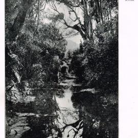 The Silver Stream, Barton's Bush