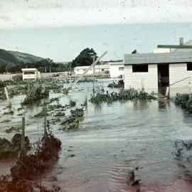 Flooded Yard; 1965