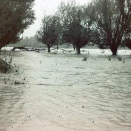 Flooded Paddocks; ca 1965