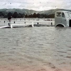 Flooded Paddocks; ca 1965