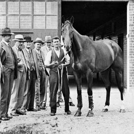 Phar Lap at Trentham Racecourse; 1931